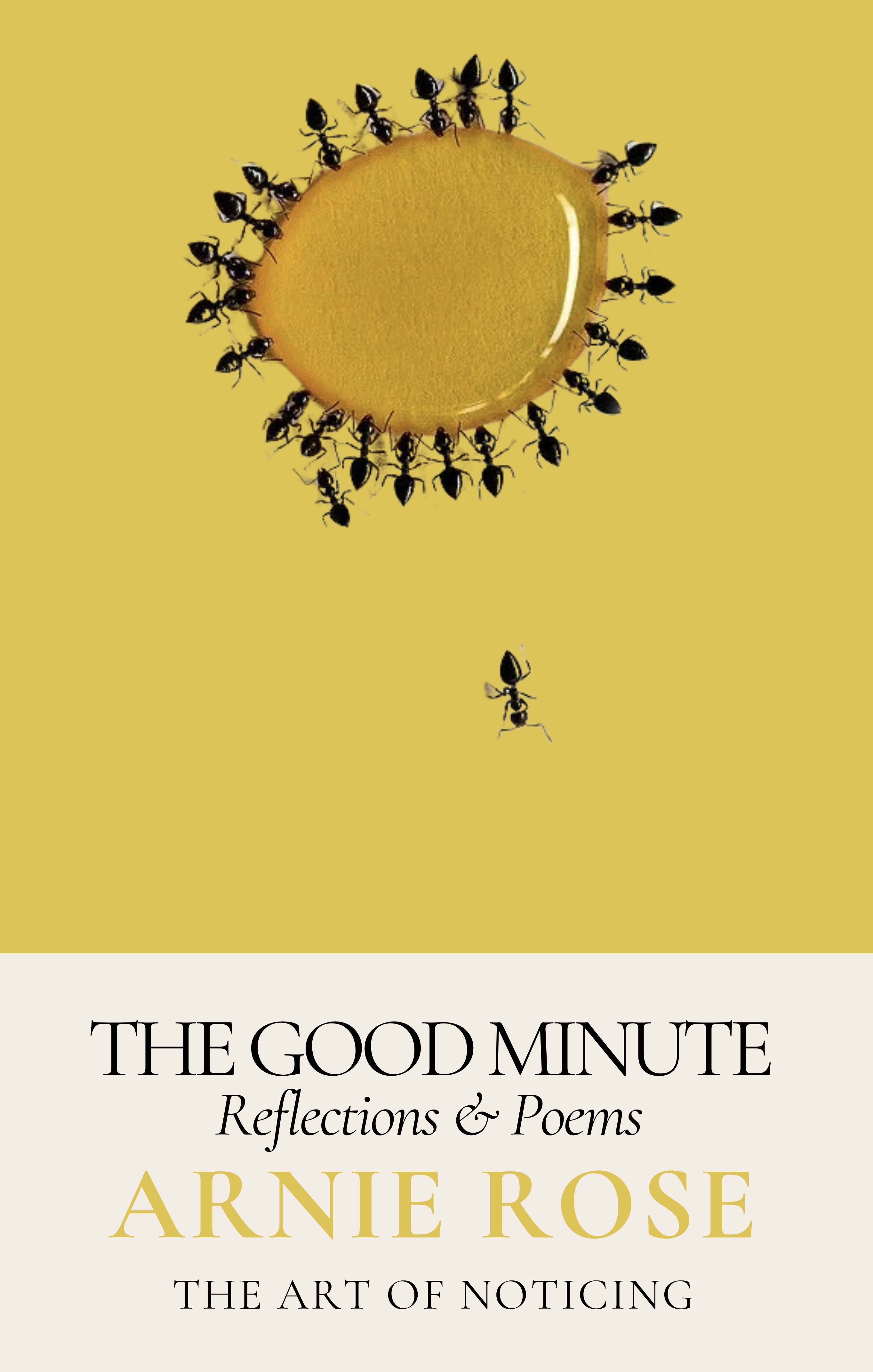 The Good Minute by Arnie Rose